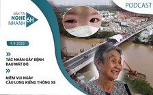 Nghe nhanh 6h: Tác nhân gây bệnh đau mắt đỏ | Niềm vui ngày cầu Long Kiểng thông xe