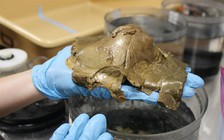 ‘Quả cầu vàng’ bí ẩn làm dấy lên nghi vấn về trứng sinh vật ngoài hành tinh