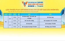 Nóng 'bỏng tay' 4 cặp đấu play-off vòng loại khu vực TP.HCM giải TNSV THACO Cup 2024