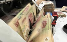 Người nhà lãnh đạo Công ty Tân Tạo bị xử phạt về chứng khoán hơn 1 tỉ đồng