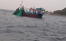 Xâm hại 'trái tim Nha Trang', 2 chủ tàu cá bị phạt 350 triệu đồng