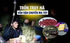 Trốn truy nã tội giết người vẫn tham gia vận chuyển ma túy trong rừng