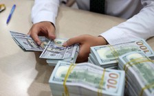 Giá USD hôm nay 30.1.2024: Rời khỏi mốc 25.000 đồng