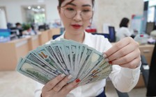 Giá USD hôm nay 31.1.2024: Giảm sâu