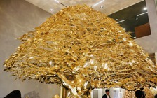 Cây đào, bồ đề mạ vàng lớn nhất Việt Nam giá 1 triệu USD ra mắt Tết Nguyên đán 2024