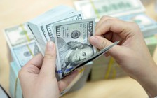 Giá USD hôm nay 8.1.2024: 'Đô' tự do tăng vượt 24.800 đồng