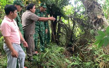 Quảng Nam: Xuất hiện hàng loạt vết nứt trên đỉnh đồi, sơ tán hàng chục người dân