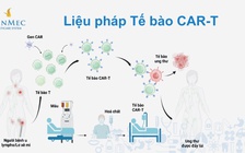 Việt Nam nghiên cứu ứng dụng liệu pháp tế bào trong điều trị ung thư