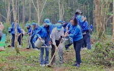 Muốn du lịch xanh, phải đi cùng nhau