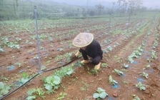 TP.HCM cho phép xây công trình trên đất nông nghiệp