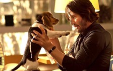 Chuyện ít biết về bộ râu thương hiệu của Keanu Reeves trong 'Sát thủ John Wick'