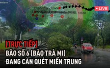 Bão số 6 (bão Trà Mi) gây mưa to gió lớn khắp nơi