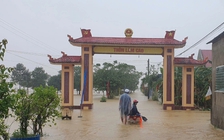 Sau bão Trà Mi, vùng trũng Vĩnh Linh ngập lụt, trôi nhiều đàn gia súc