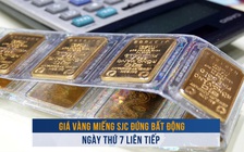 Biến động vàng ngày 29.10: Giá vàng miếng SJC đứng bất động ngày thứ 7 liên tiếp