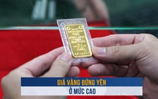 Biến động vàng ngày 30.10: Giá vàng đứng yên ở mức cao