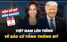 BẦU CỬ MỸ ĐẾM NGƯỢC: Việt Nam lên tiếng về bầu cử tổng thống Mỹ