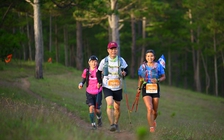 Kết thúc thành công giải chạy Lamdong Trail 2024