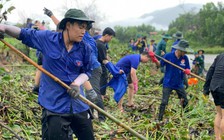 Đà Nẵng: Người trẻ dầm mình khơi thông cống rãnh giúp dân thoát cảnh ngập lụt