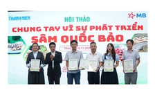 Vì sự phát triển của sâm quốc bảo Việt Nam