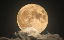 Chuyện lạ gì xảy ra với trăng tròn cuối cùng 2024?: Năm 2043 mới lặp lại