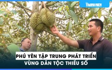 Phú Yên tập trung phát triển kinh tế - xã hội vùng đồng bào dân tộc thiểu số