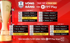 Xem trực tiếp đội tuyển Việt Nam và trọn vẹn AFF Cup 2024 ở đâu, kênh nào?