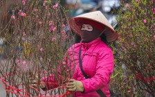 Miền Bắc sắp đón không khí lạnh, rét hại từ 30 tết