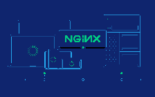 Thành viên cốt lõi rời dự án Nginx vì quan điểm bảo mật