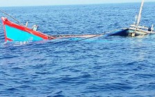 Tàu cá của ngư dân Quảng Nam bị đâm chìm trên biển