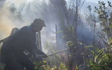 Công an tỉnh Lào Cai điều tra vụ cháy rừng ở Vườn quốc gia Hoàng Liên
