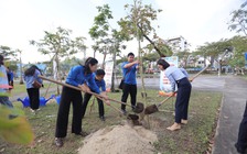 Đà Nẵng ra quân Tháng Thanh niên ‘vì cuộc sống cộng đồng’