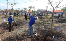 Ninh Thuận: Hàng trăm đoàn viên, thanh niên tham gia Tết trồng cây