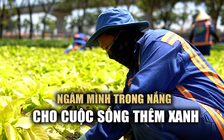 Nghề chăm sóc cây xanh: Nhọc nhằn mưu sinh giữa nắng gắt Sài Gòn