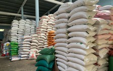 Bến Tre: Phát hiện hơn 380 tấn gạo ngoại không nhãn mác