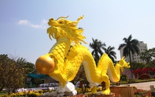 Có gì đặc biệt ở cặp rồng vàng vừa trình làng tại Quảng Nam?
