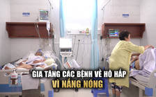 Gia tăng các bệnh về hô hấp do nắng nóng