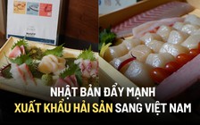 Nhật Bản đẩy mạnh xuất khẩu hải sản, đặc biệt là sò điệp sang Việt Nam