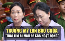 Bị cáo Trương Mỹ Lan bào chữa: 'Trái tim rỉ máu để SCB hoạt động'