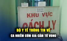 Bệnh nhân nhiễm cúm gia cầm tử vong: Có thể lây từ chim hoang dã?