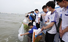 Cần Thơ: Thả gần 1 tấn cá giống ra sông Hậu