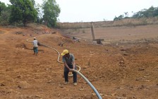 Hơn 2.100 ha cây trồng ở Lâm Đồng bị ảnh hưởng do hạn hán, thiếu nước tưới