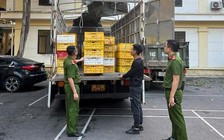 Quảng Ninh: Điều tra vụ vận chuyển hơn 10.000 trứng gia cầm không rõ nguồn gốc