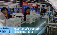 Sản xuất Trung Quốc tăng trưởng trở lại