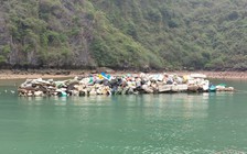 Dọn hàng trăm tấn rác thải nhựa trôi vào vịnh Hạ Long