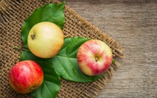 Ngày mới với tin tức sức khỏe: 4 loại trái cây tốt nhất cho sức khỏe