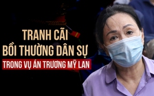 Trương Mỹ Lan sẽ phải thực hiện những trách nhiệm dân sự nào?