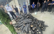 Bắt vụ nhập lậu gần 1,6 tấn ngà voi