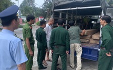 Thừa Thiên - Huế: Phát hiện 2 ô tô tải vận chuyển gỗ lậu