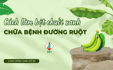 Cùng sống xanh số 80: Tốn 50 triệu, chịu đau 5 năm, anh Hưng lại khỏi bệnh đường ruột chỉ từ quả chuối xanh