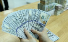 Giá USD hôm nay 8.4.2024: Thị trường tự do tăng vượt 25.500 đồng